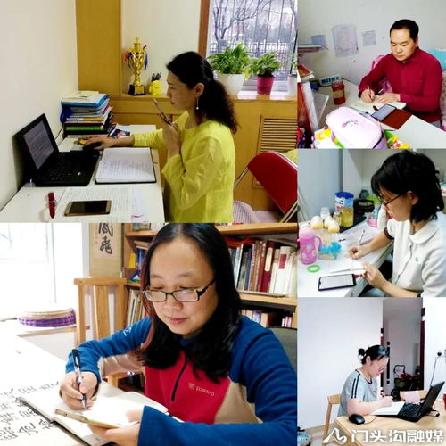 编织心灵防护网，护航师生健康路——我区正式开通心理健康与教育咨询线上双服务平台